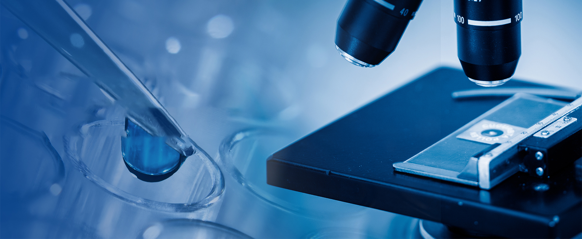 面向先进碳材料检测的公共服务平台